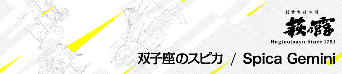 保護中: 双子座のスピカ(test)