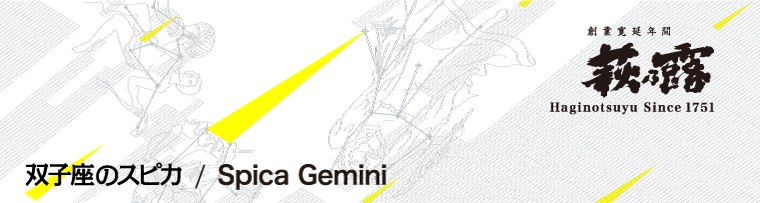 保護中: 双子座のスピカ(test)